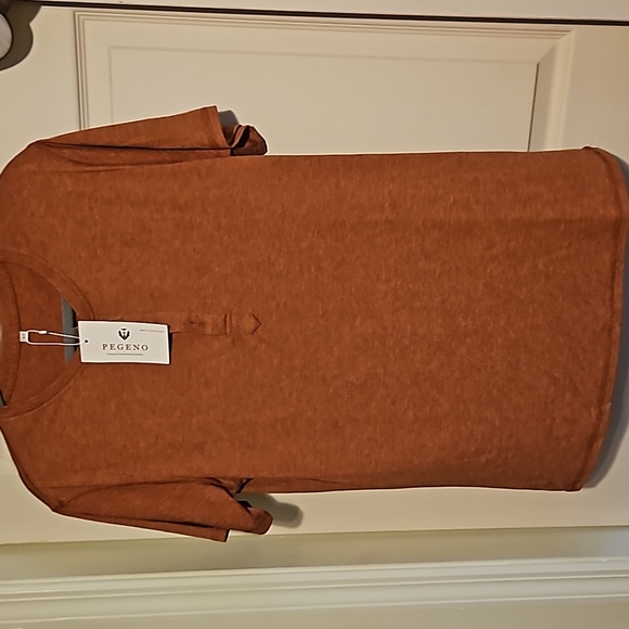 Pegeno Mens Shirt - Picture 1 of 4